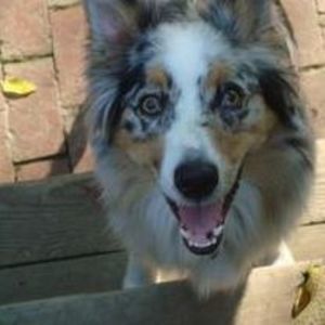 Meet your Posher, Cathy